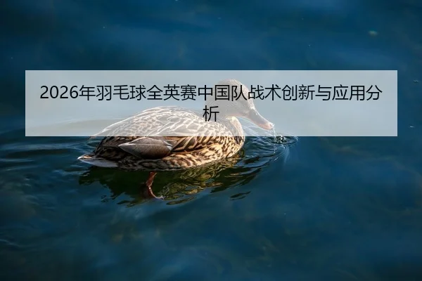 nian-yu-mao-qiu-quan-ying-sai-zhong-guo-dui-zhan-shu-chuang-xin-yu-ying-yong-fen-xi-2-543.jpg