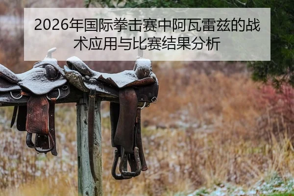 2026年国际拳击赛中阿瓦雷兹的战术应用与比赛结果分析