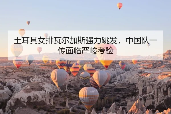 tu-er-qi-nv-pai-wa-er-jia-si-qiang-li-tiao-fa-zhong-guo-dui-yi-chuan-mian-lin-yan-jun-kao-yan-2-837.jpg