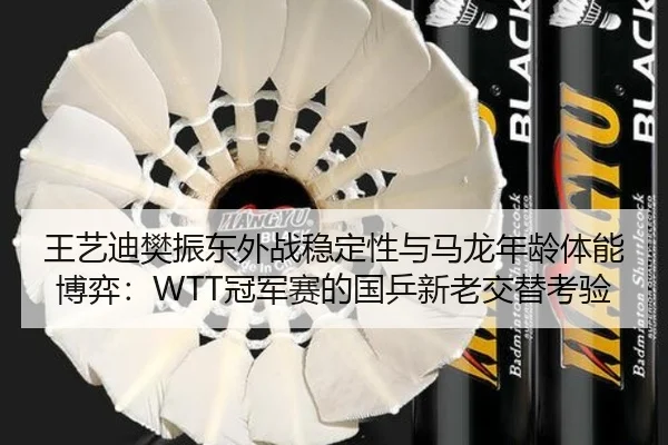 王艺迪樊振东外战稳定性与马龙年龄体能博弈：WTT冠军赛的国乒新老交替考验