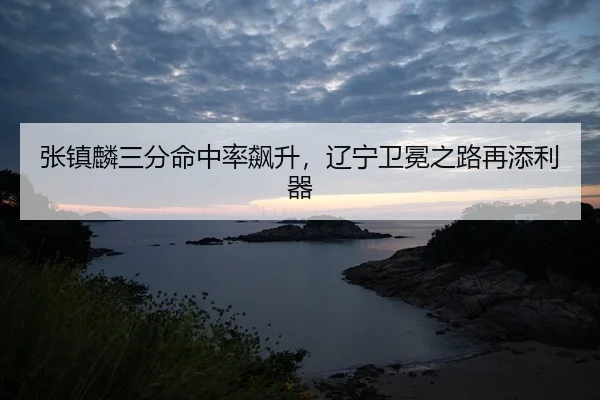 zhang-zhen-lin-san-fen-ming-zhong-lv-biao-sheng-liao-ning-wei-mian-zhi-lu-zai-tian-li-qi-3-211.jpg