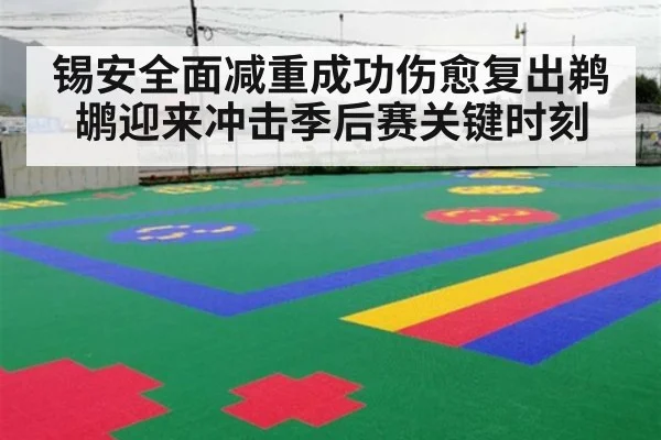 锡安全面减重成功伤愈复出鹈鹕迎来冲击季后赛关键时刻